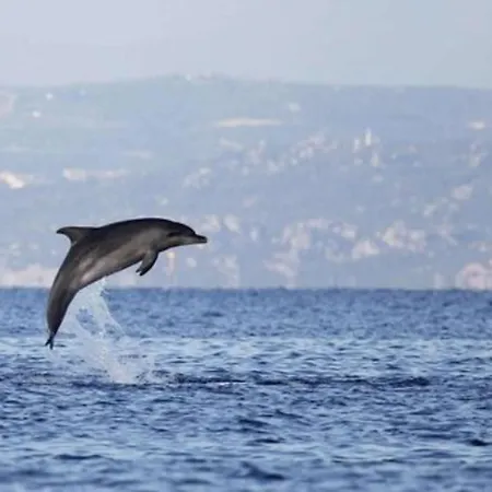 Charmante 2 Les Pieds Dans L'eau Bonifacio *