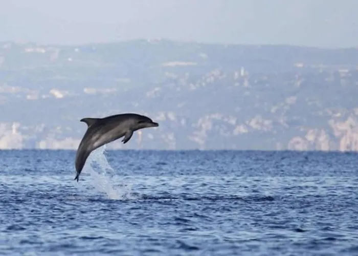 Charmante 2 Les Pieds Dans L'eau *